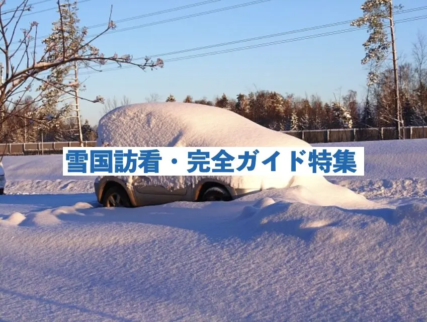 雪国訪看のリアル